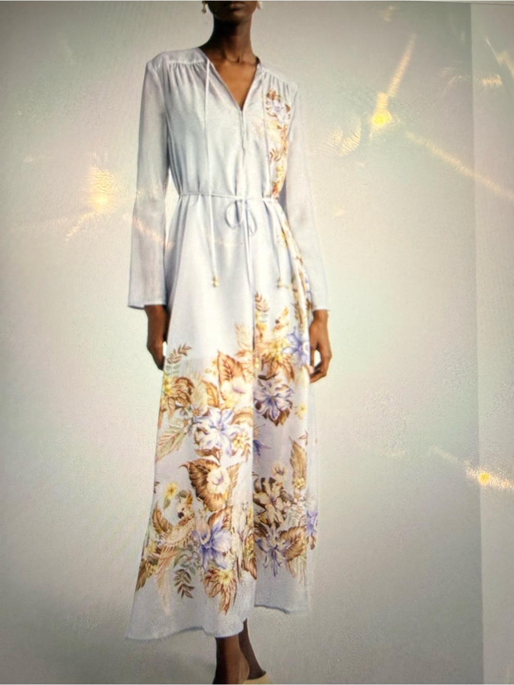 Zimmermann Coco placed print Pale Blue Brown and Blue Floral - Picture 4 of 8